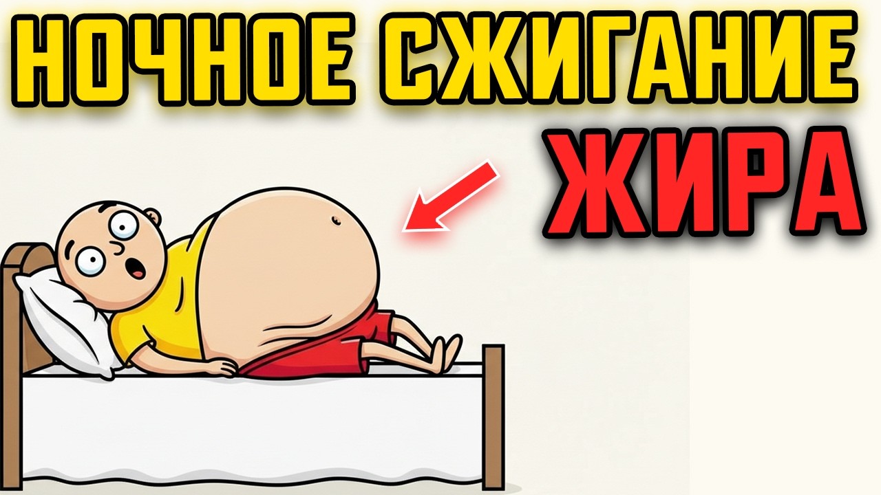 Что происходит с висцеральным жиром во сне (Научное объяснение)