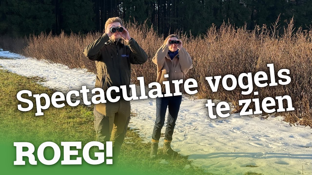 Voor iedereen wat te eten aan de rand van het Fochteloërveen | ROEG! Uitzending
