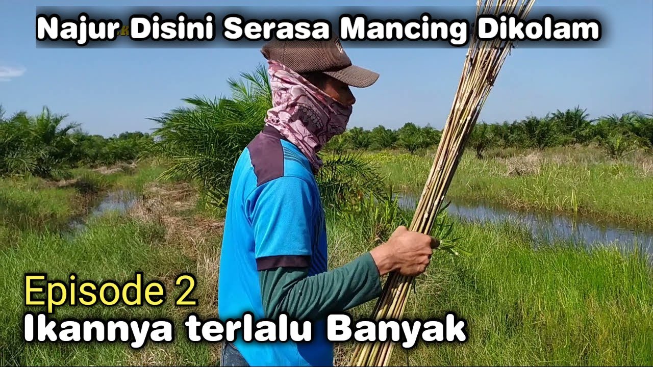 рыбалка на пробковую рыбу может быть много