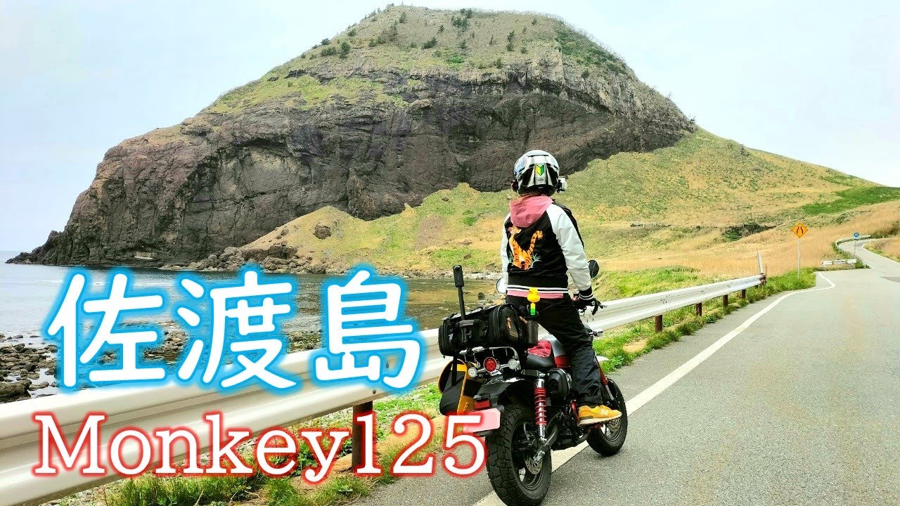 【ピンチ！】〇〇に道をふさがれて前に進めなくなりました