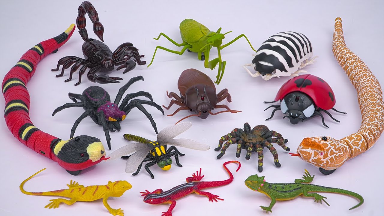 ZURU ROBO ALIVE COLLECTION | UNBOXING Robot Tarantula, New Robo Alive Giant SPIDER creepers | ASMR
