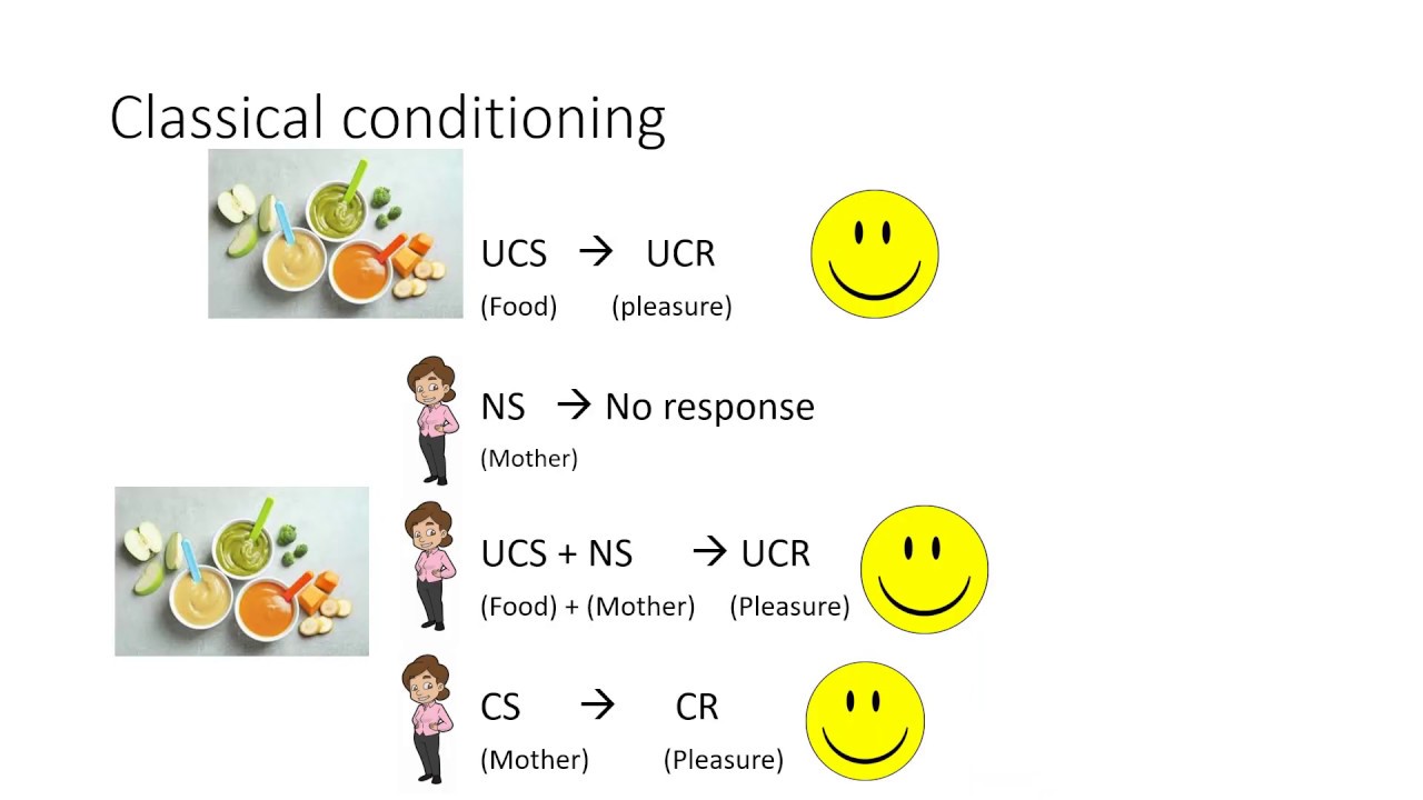 AQA A Level Psychology - Attachment - Explanations of attachment: learning theory