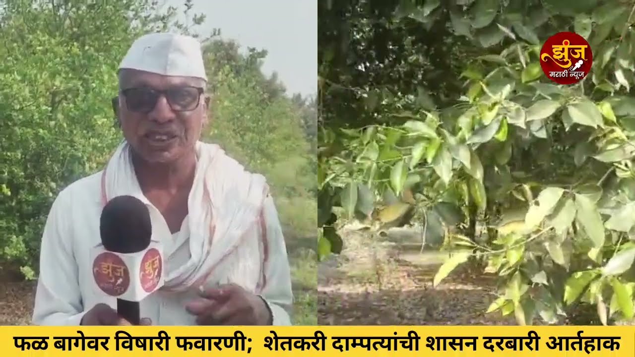 टाकळी येथे जाणूनबुजून तणनाशक फवारणी; शेतकरी दाम्पत्यांची शासनाकडे आर्त हाक!