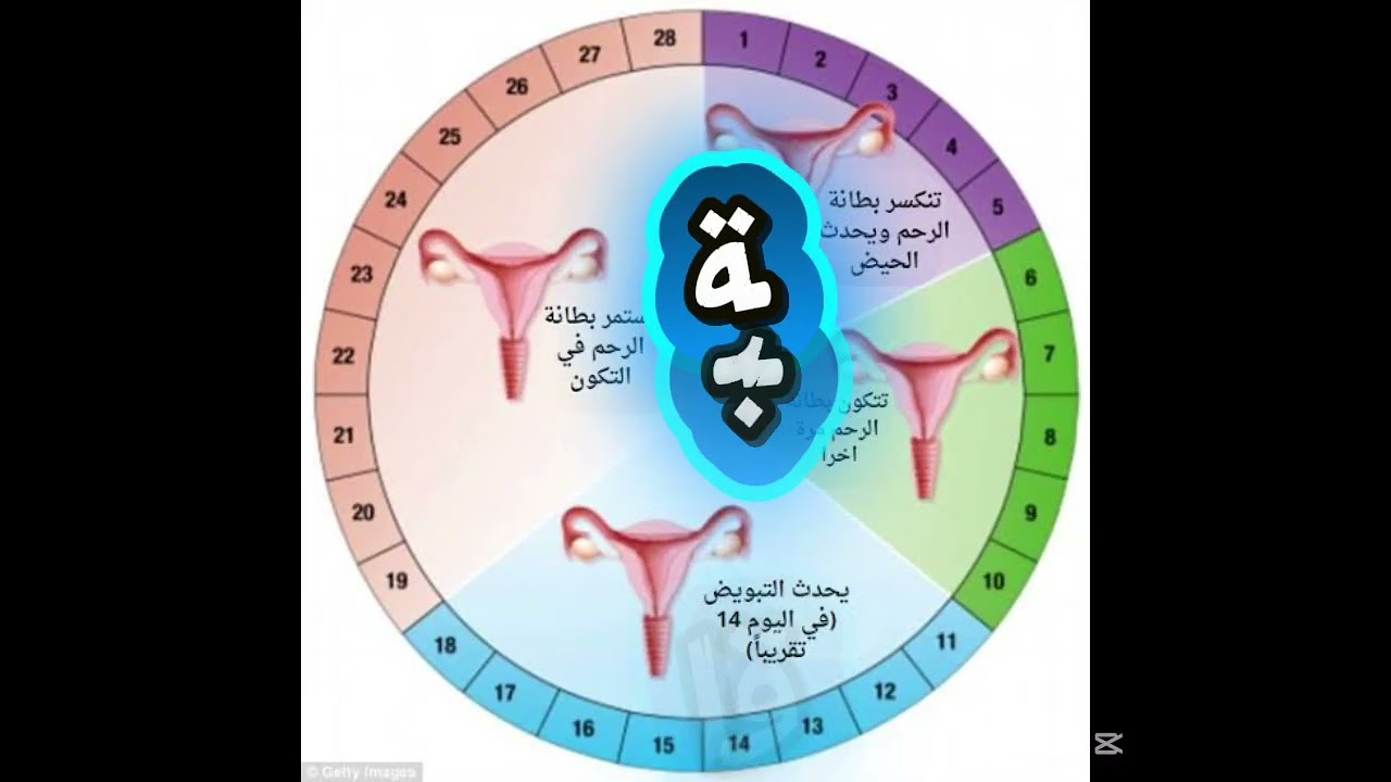 المراقبة الرجعية السالبة و الموجبة و الفرق بينهما 2عت