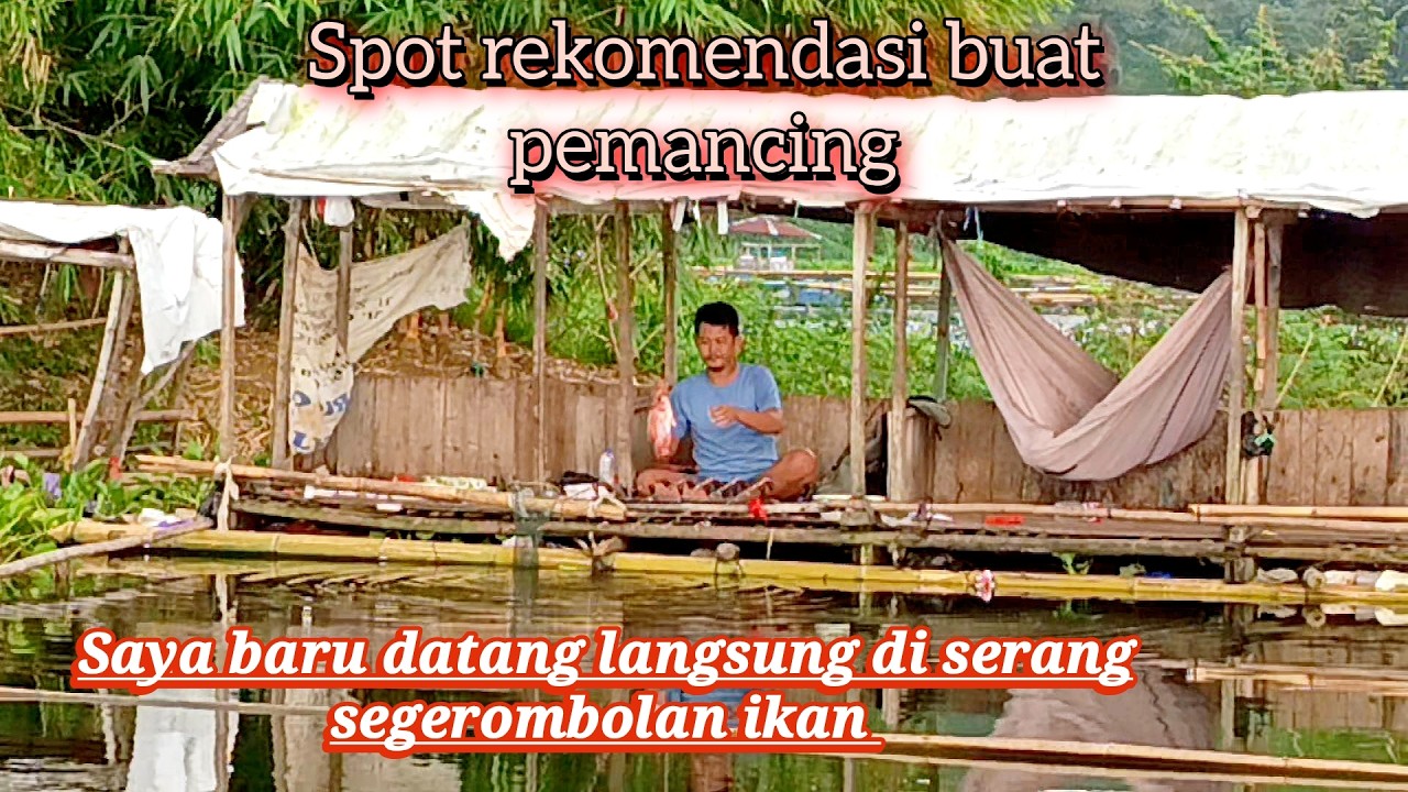Saya baru datang langsung di bom pengumpul ikan serentak segerombolan ikan menyerang, auto butbet,!