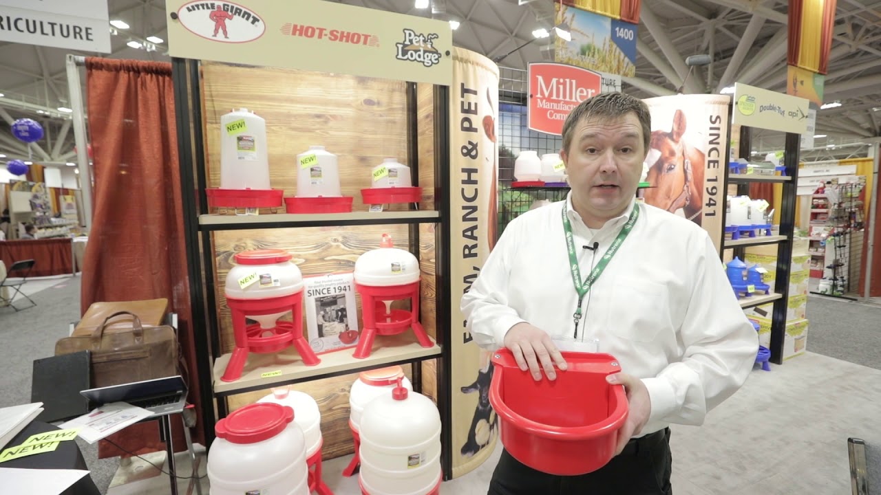 How to Water Your Chickens Automatically - Miller Plastic Automatic Poultry Waterer