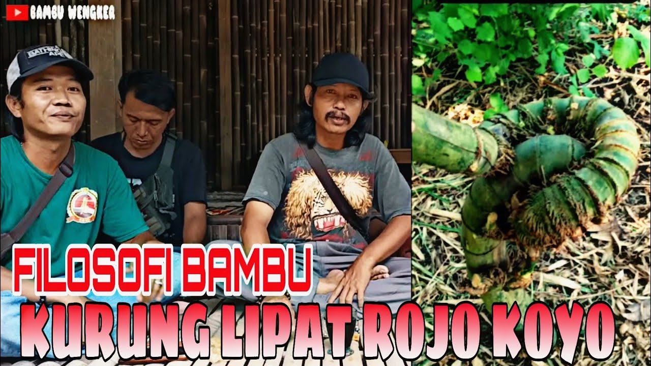 Filosofi Bambu Unik Ngaji Deling Di Balik Makna Bambu Kurung Lipat Rojo Koyo