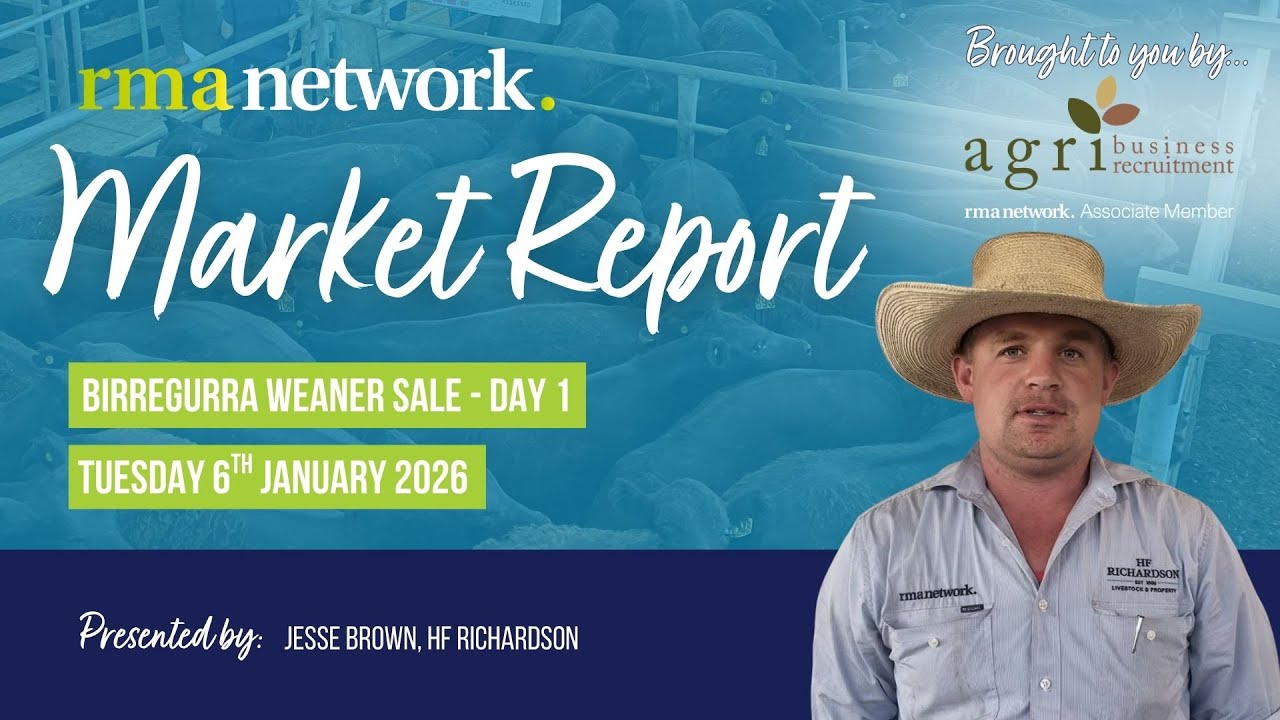 Birregurra Weaner Sale (Day 1) - Tuesday 6th January 2026