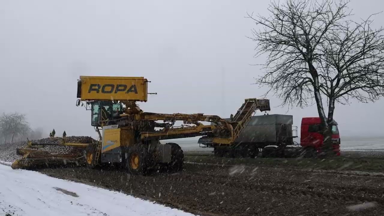 Ropa Maus6, MAN-, Mercedes-, Scania LKW, Zuckerrüben.