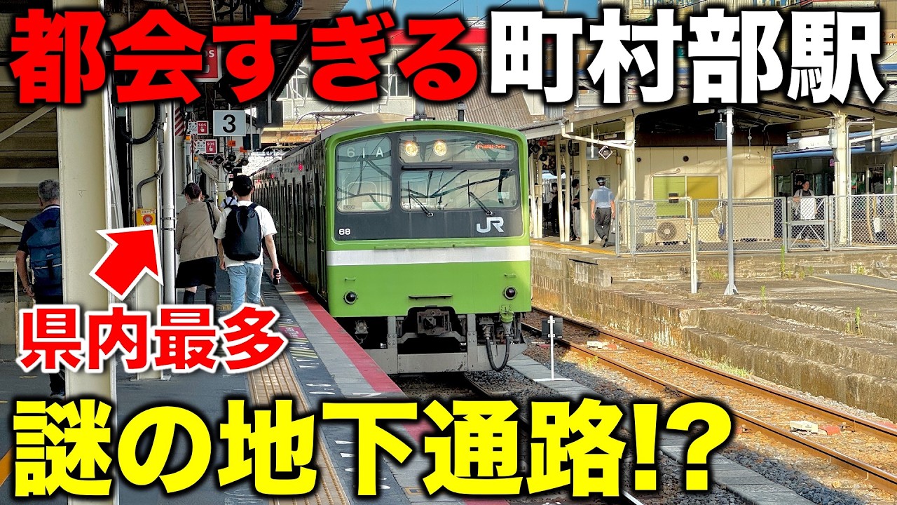 【全国屈指の町村部駅⁉︎】どう考えても最強すぎる“県内最多の乗降客数を誇る”衝撃のターミナル駅 JR西日本/大和路線/近鉄