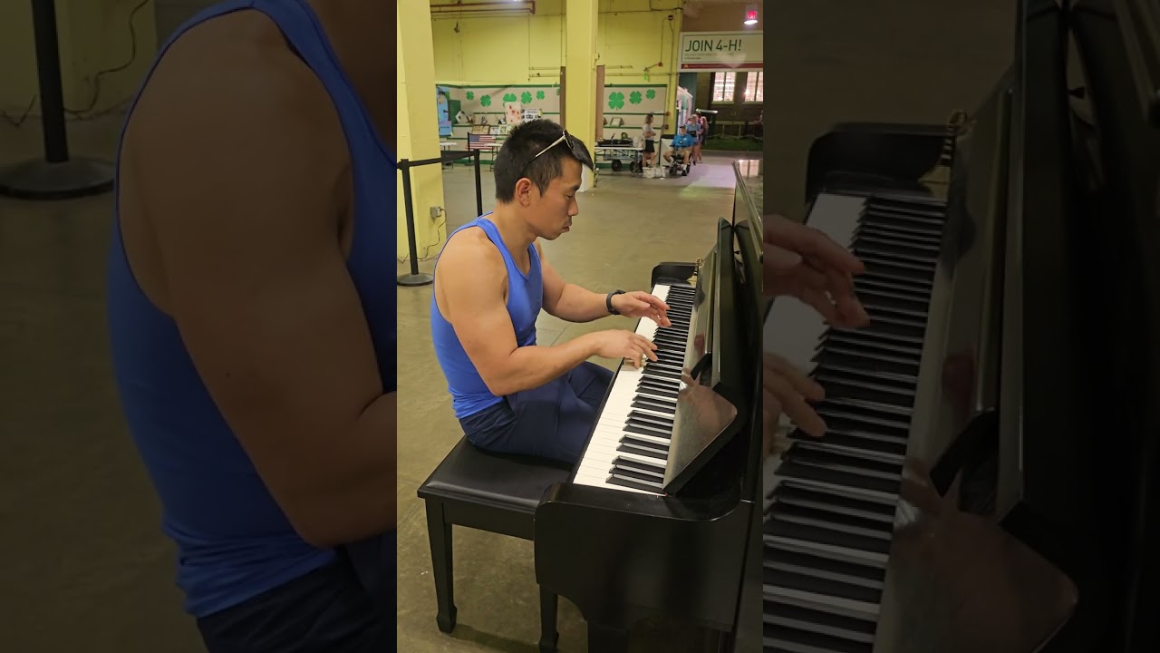Original New Age Piano Music Played At The Minnesota State Fair 2024 By Travis Balitz