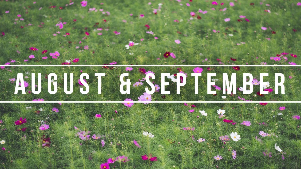 August & September Compilation