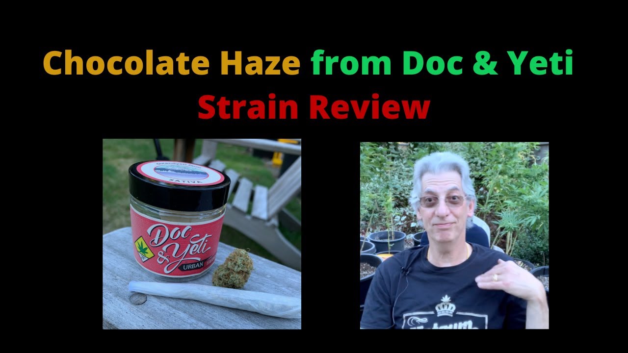 Chocolate Haze Strain Review