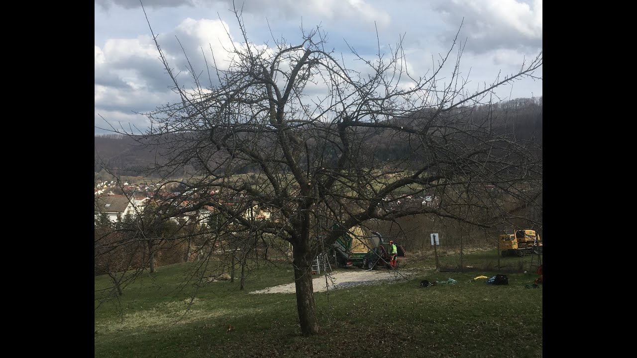 Streuobstwiese Im Letten, Deggingen