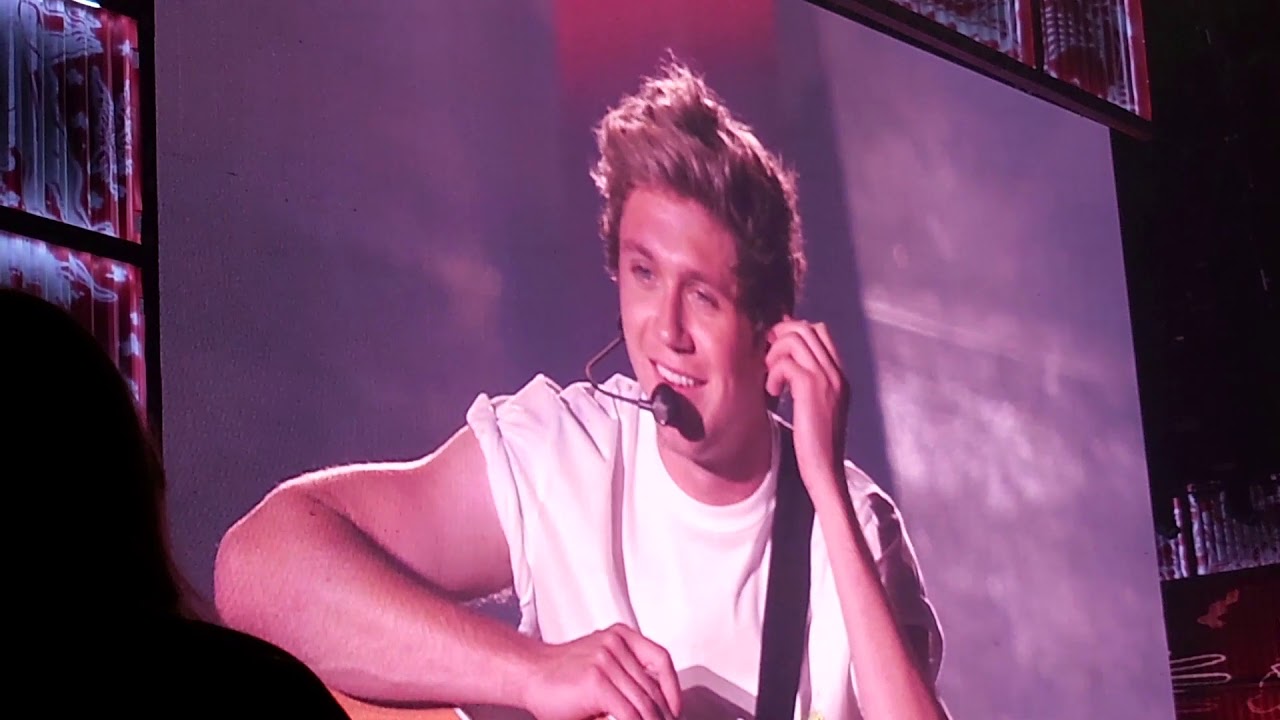 One Direction WWA Tour St. Louis 2014