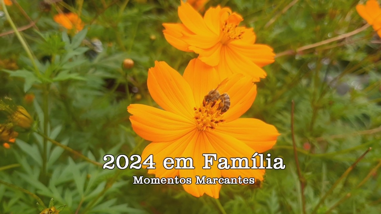 Momentos Família em 2024