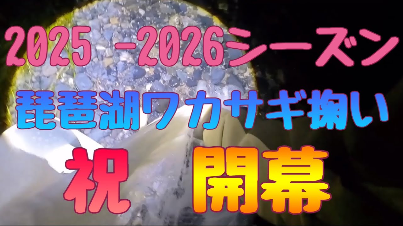 2025 -2026シーズン琵琶湖ワカサギ掬い 投網  祝 開幕