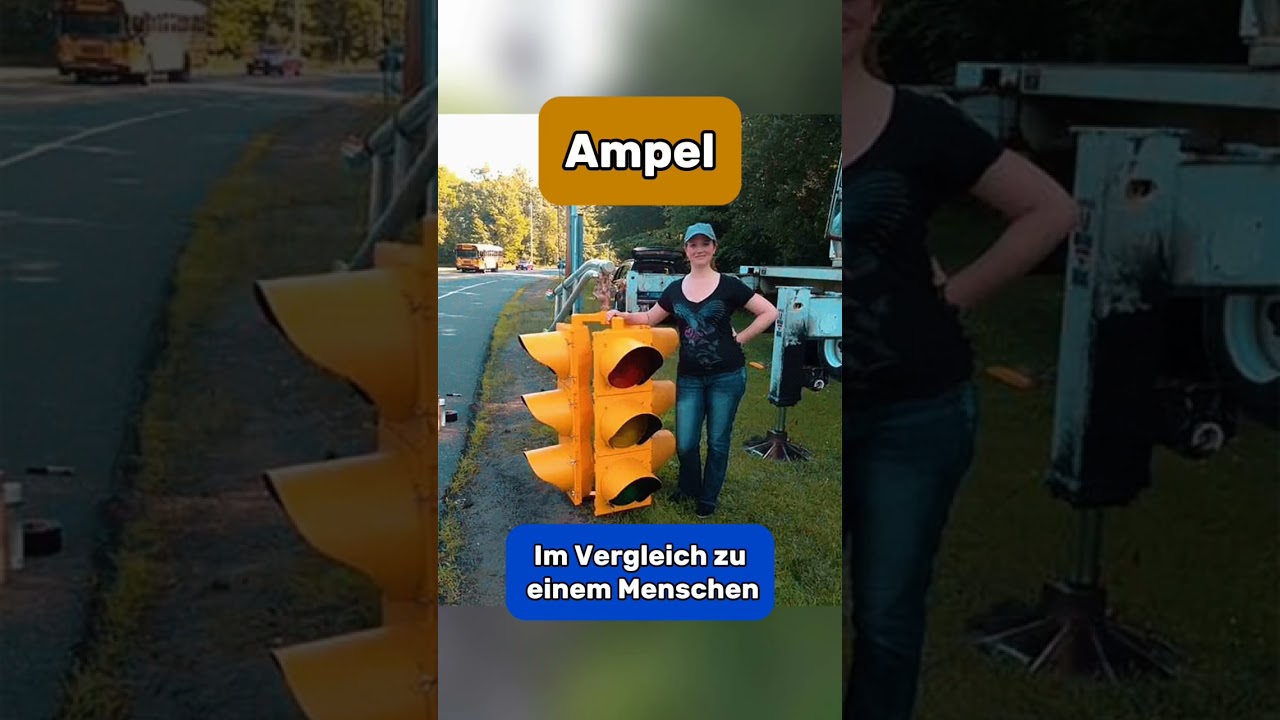 Dinge die gr&ouml;&szlig;er sind als du denkst Part 20 | Top 10 (2024) Platz 04 | New Facts