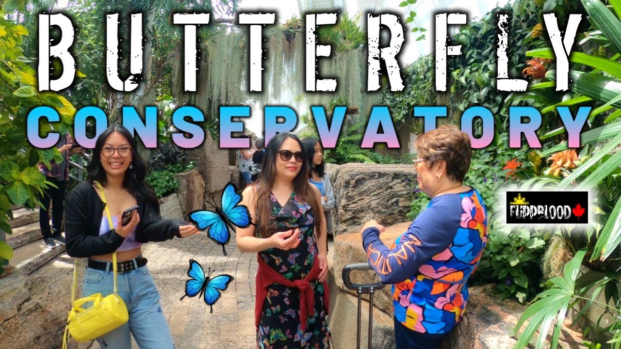 A Trip to BUTTERFLY Conservatory  ||  Niagara Parks  ||  Niagara Falls, Canada  ||  2023