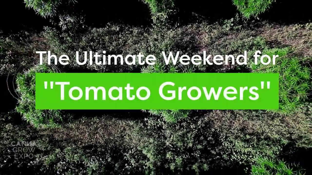 The Ultimate Weekend for 