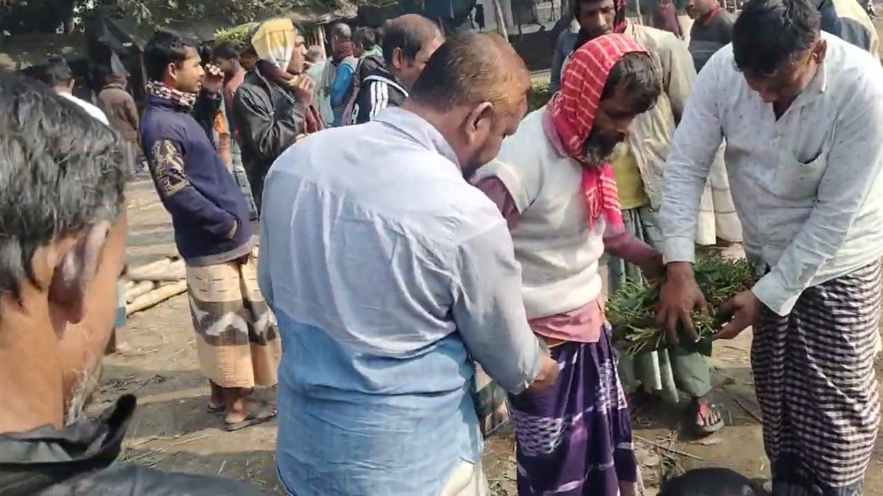 দাওকান্দি বাজার রাজশাহীর মিষ্টি পান 