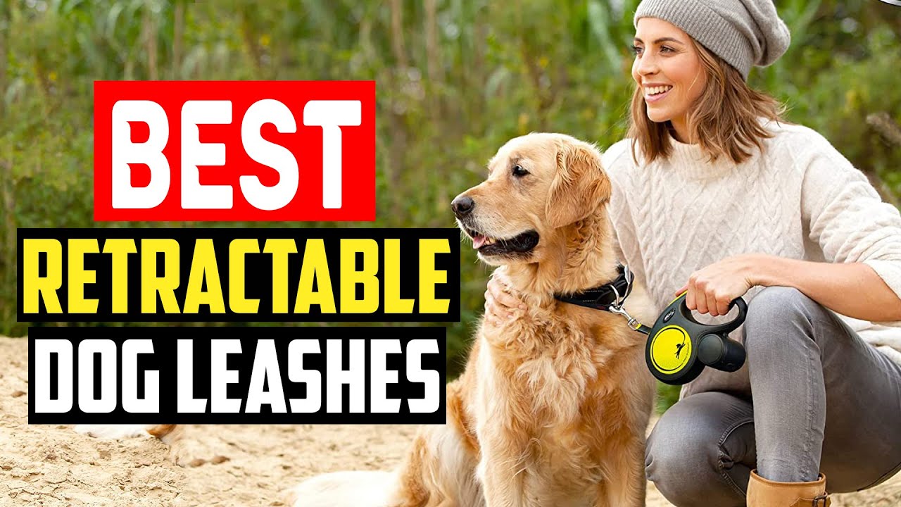 ✅ Top 5 Best Rated Retractable Dog Leashes Reviews of 2025