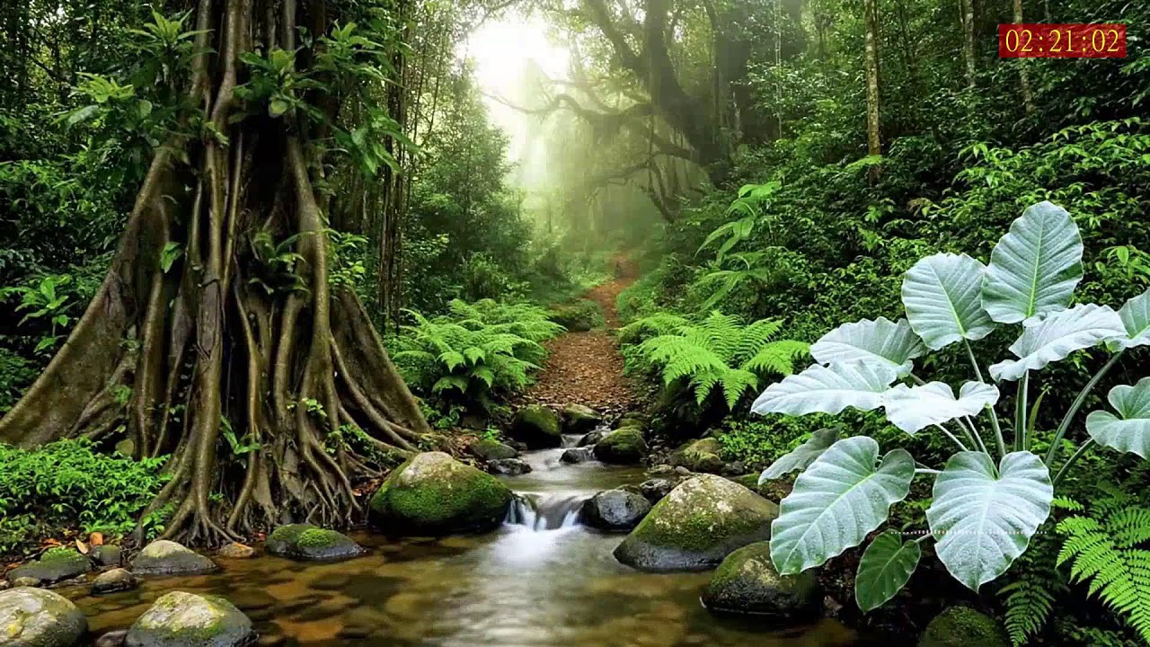 Soothing Sleep Sound for Anxiety Relief and Quiet Thoughts at Night