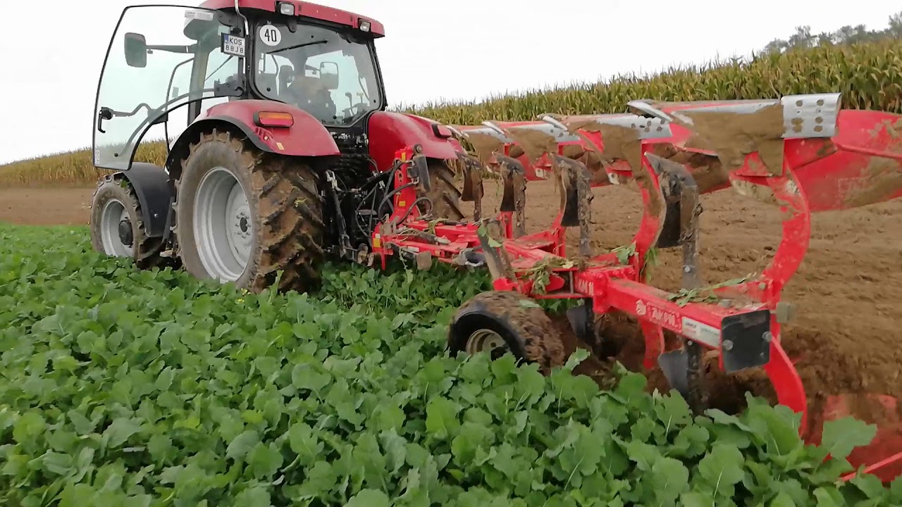 Ciągnik sam orze - Case IH Maxxum 110 Akpil KM180 - Orka z GPS