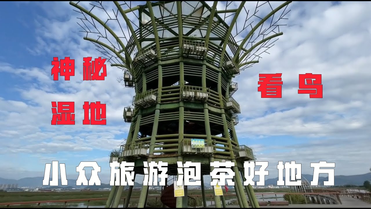 福州小众户外旅游泡茶好地方，神秘湿地公园里有3个塔可以看鸟群