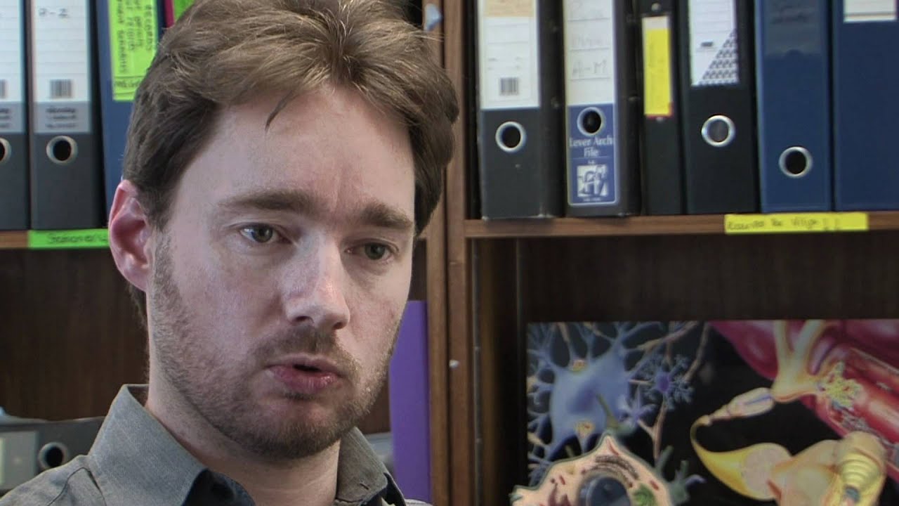 Myelin Repair