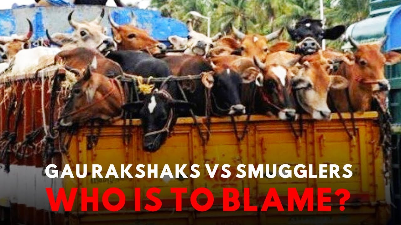 How Media Has Read The Cow Vigilantism-Muslim Lynching Problem All Wrong