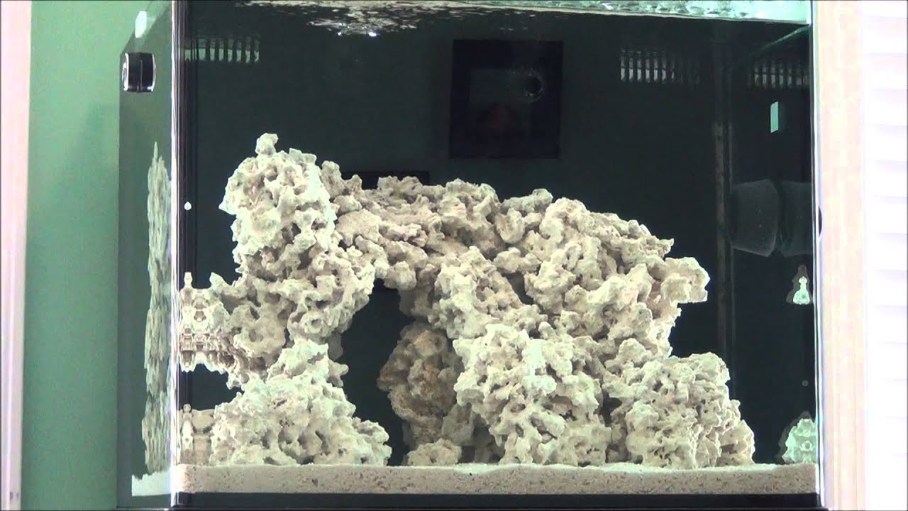 The Reef Pt.5: Cycling the Reef