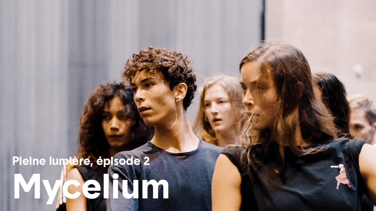 Mycelium - Pleine Lumière, épisode 2 : Tout est dans le regard