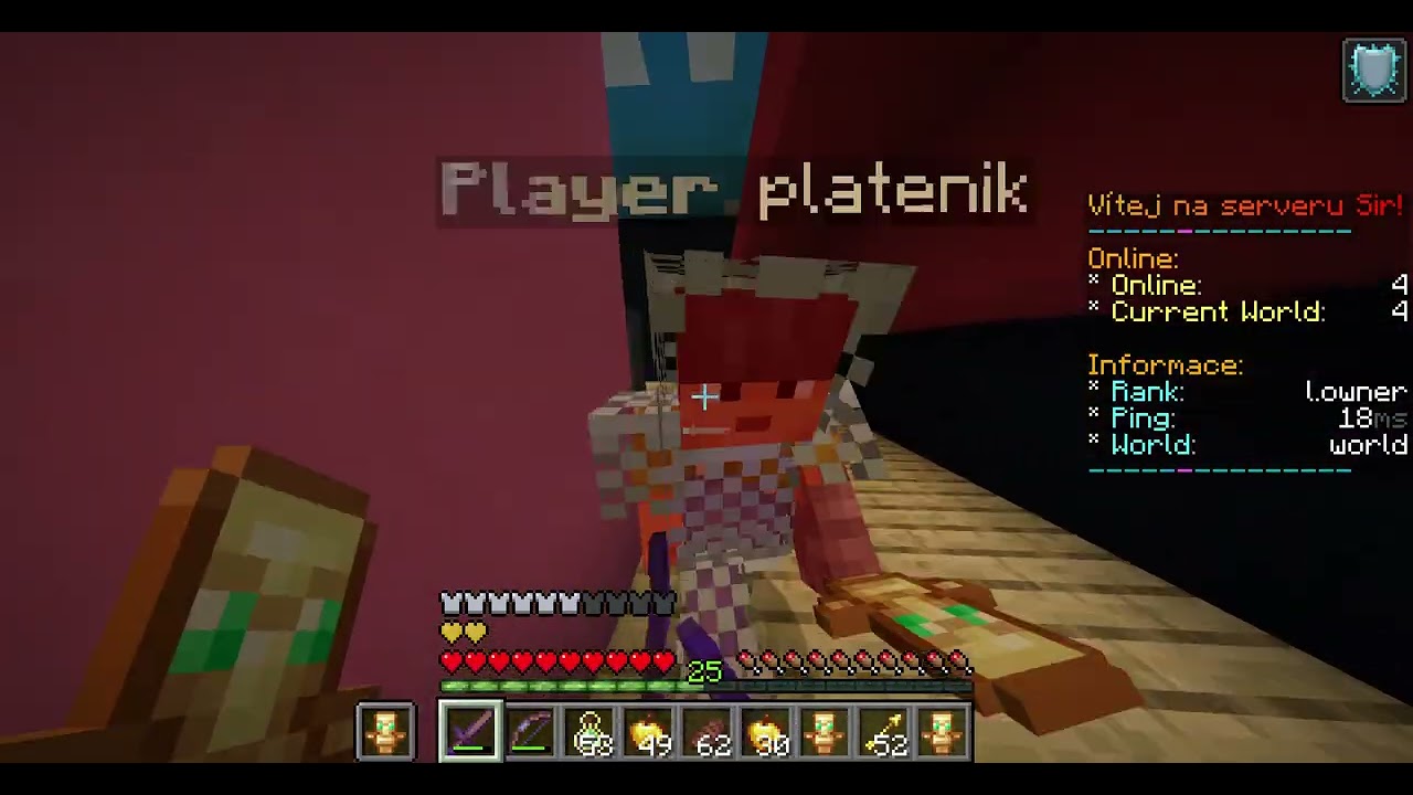hraju pvp na mém serveru 2v2