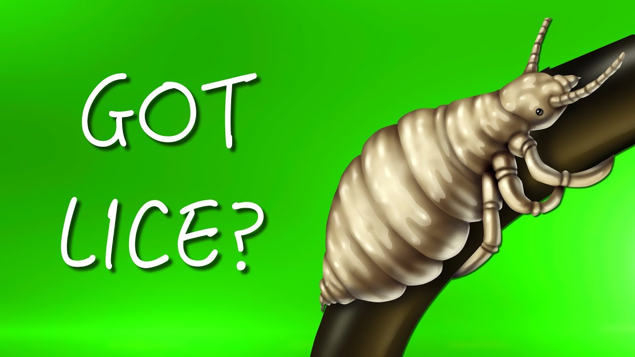 How to Treat Lice Without Chemicals | Consumer Reports