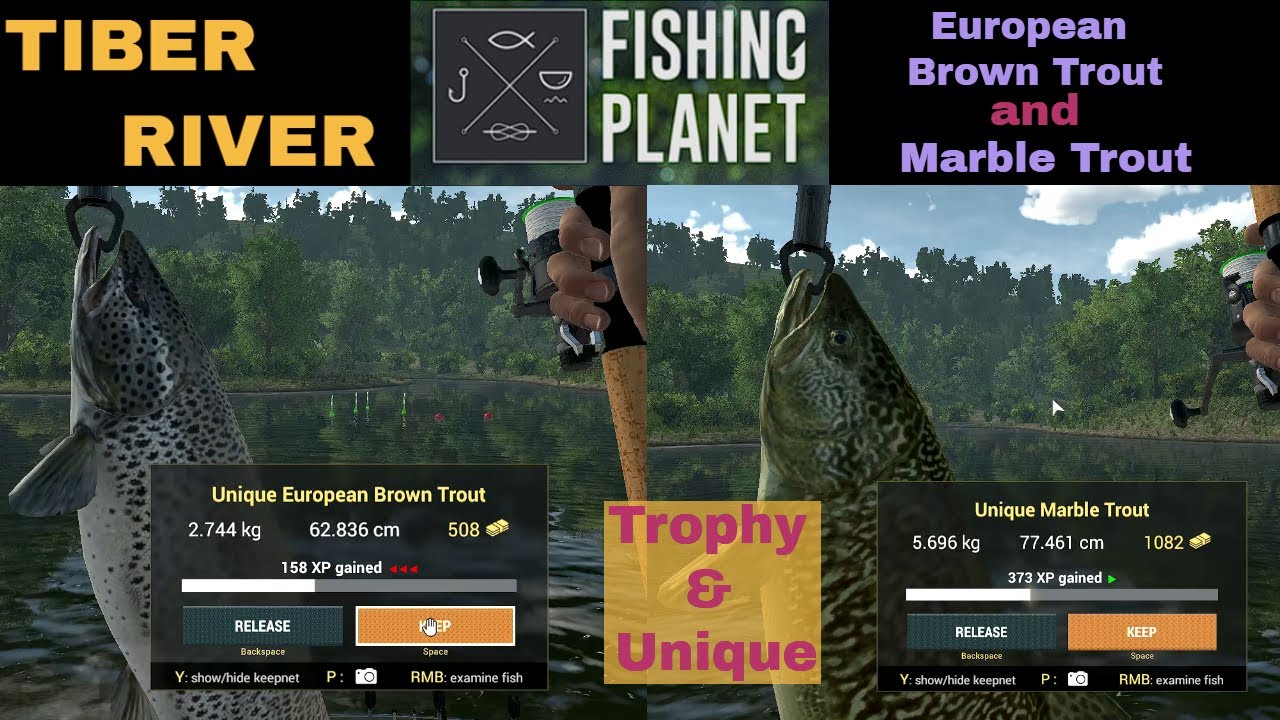 Fishing Planet, Tiber River, Italy, European Brown Trout, Marble Trout, Trophy & Unique