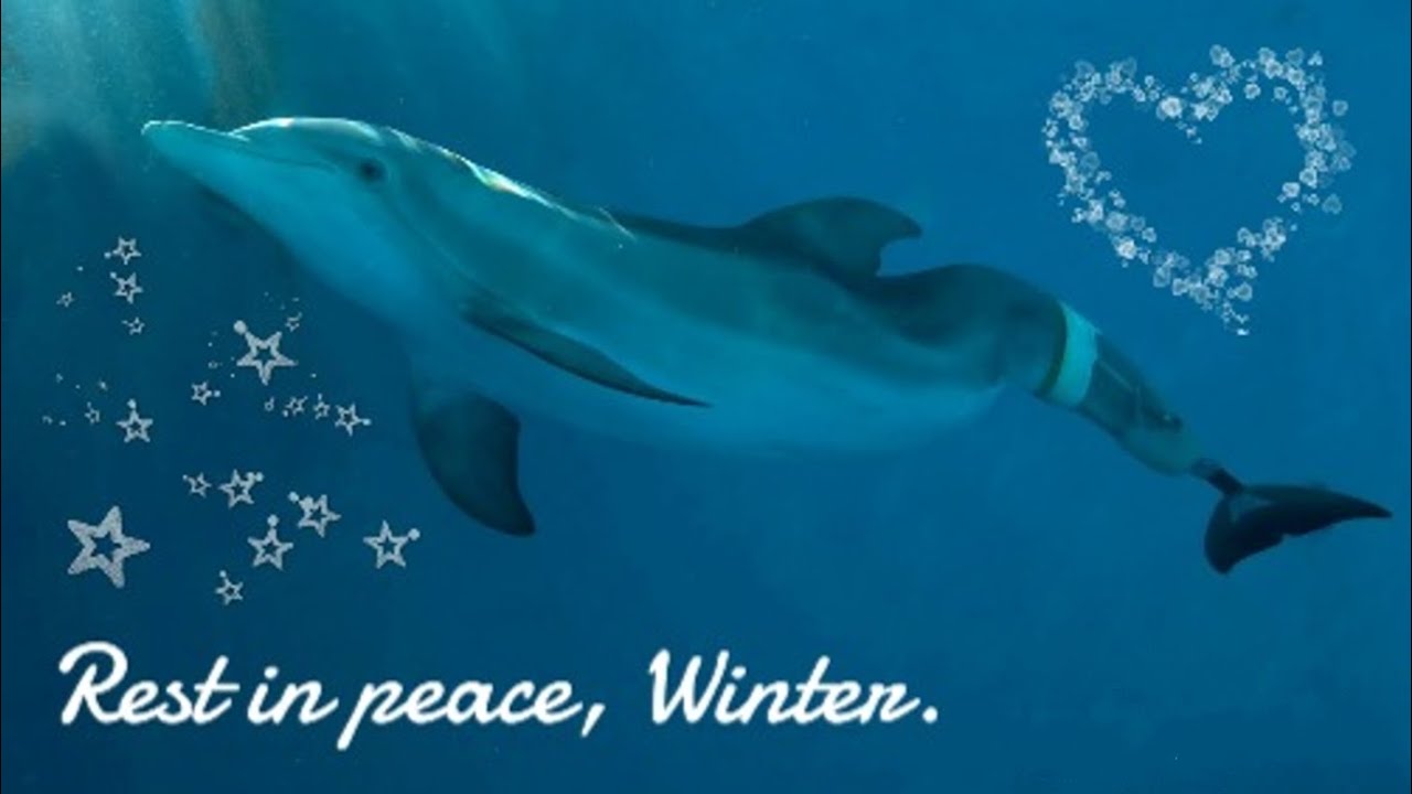 Rest in peace, Winter.