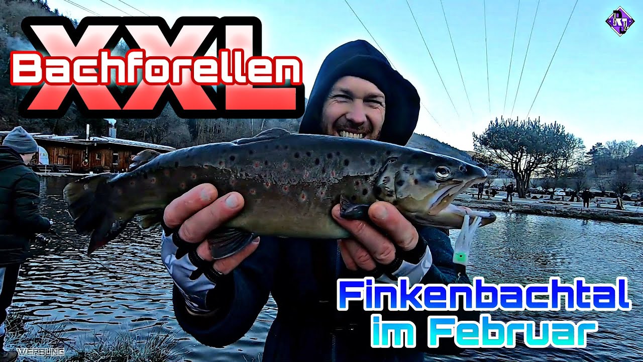 10 Jahre Finkenbachtal / Mega Besatz / Kapitale Fische