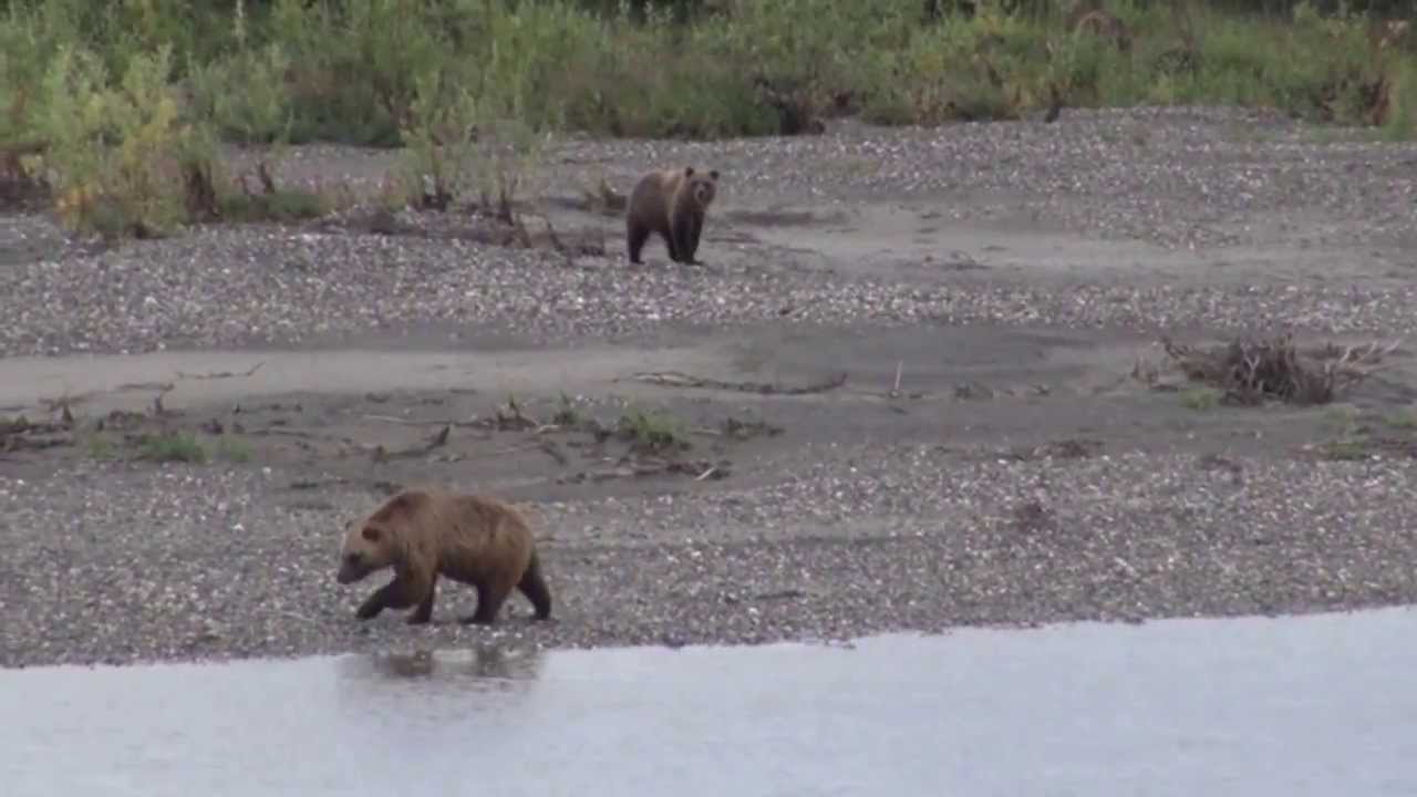 Paddling the Noatak