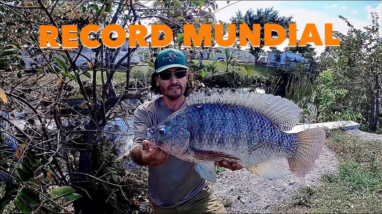 Pescador Primitivo David Madrid P2