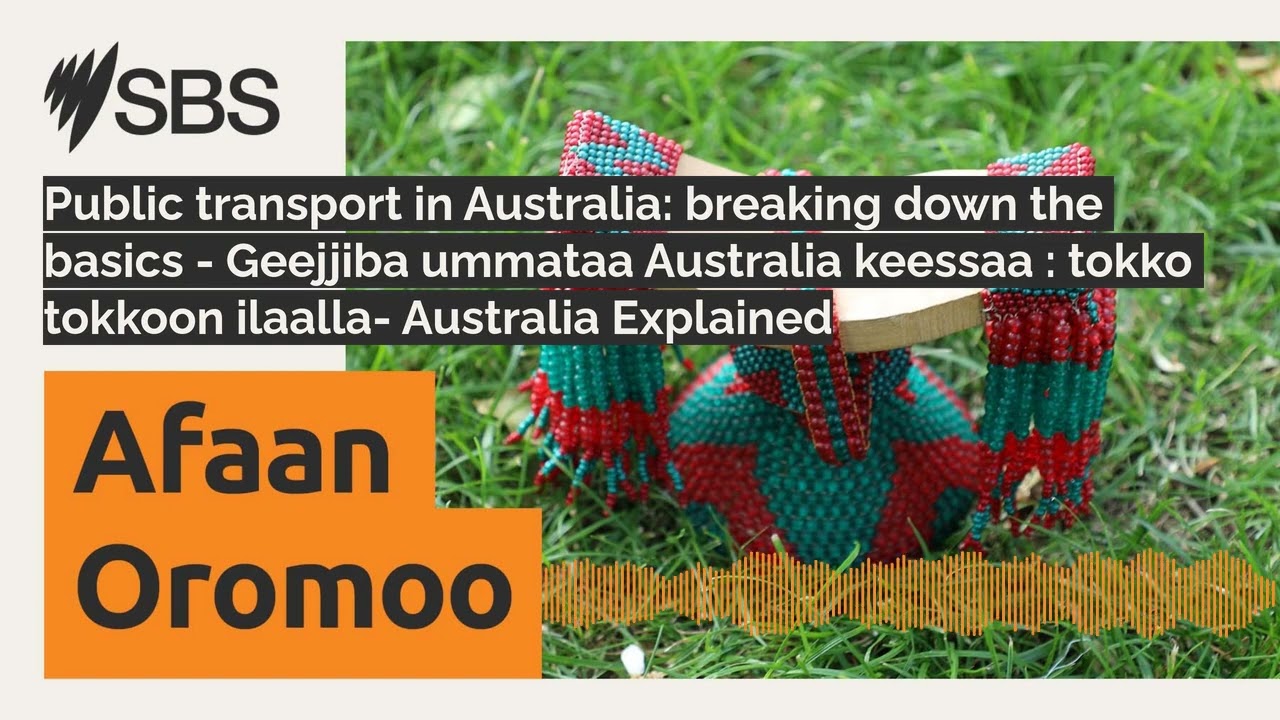 Public transport in Australia: breaking down the basics - Geejjiba ummataa Australia keessaa :...