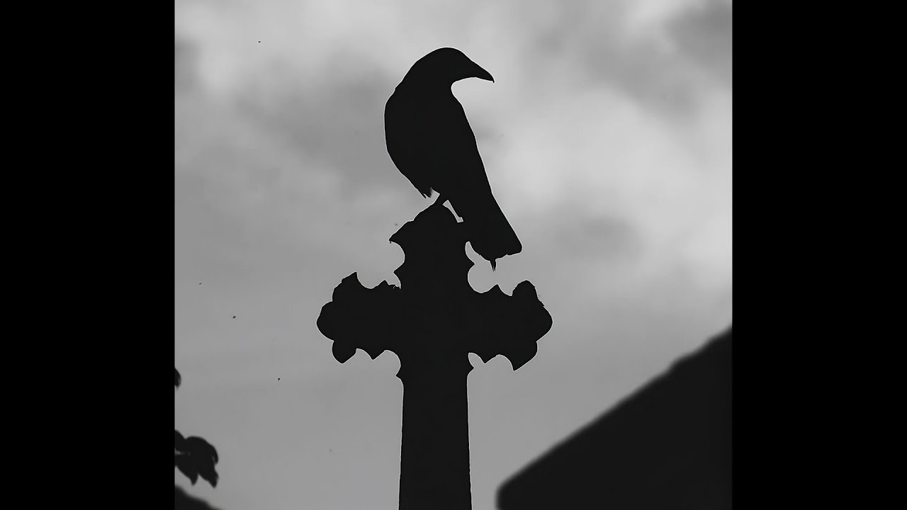 Dark Deftones x Grunge x Alternative Rock Type Instrumental - 