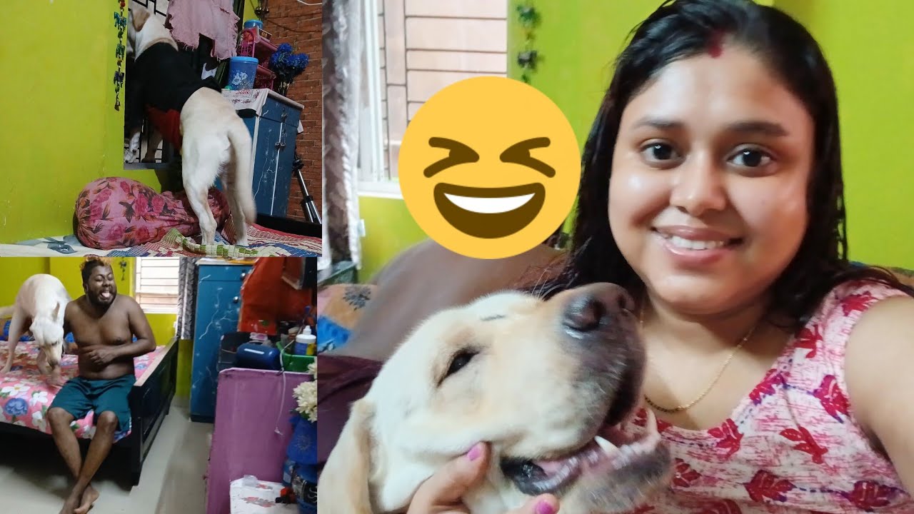 Aajke penny pagla hoa gache....Papar sathe khelche...(Funny Vlog )#Penny's Vlog Channel ♥️