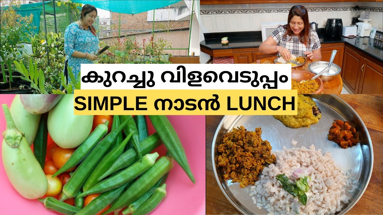 കുറച്ച കൃഷി കാര്യങ്ങൾ...വിളവെടുപ്പും അടിപൊളി നാടൻ LUNCHഉം