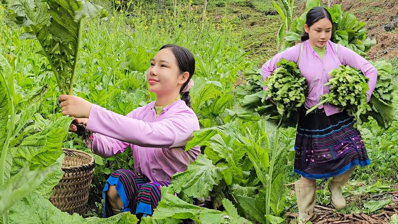 Girl Living Alone in the Forest, Foraging Wild Vegetables for Daily Survival