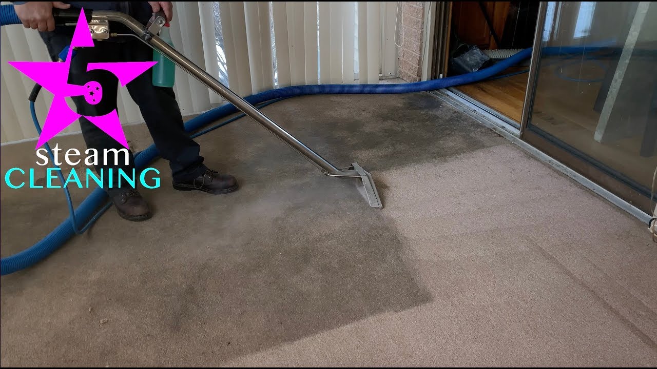 steam carpet cleaning we never say no to dirty jobs