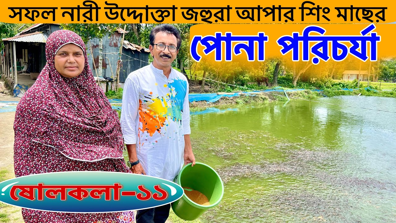 সফল নারী উদ্দোক্তা জহুরা আপার শিং মাছের পোনা পরিচর্যা.. catfish bd