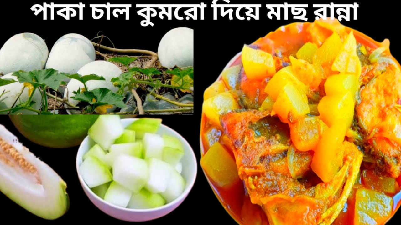 😍পাকা চাল কুমড়ো দিয়ে অসাধারণ এক রেসিপি |Ash-Gourd recipe /Chal Kumro recipe | Bengali Recipe