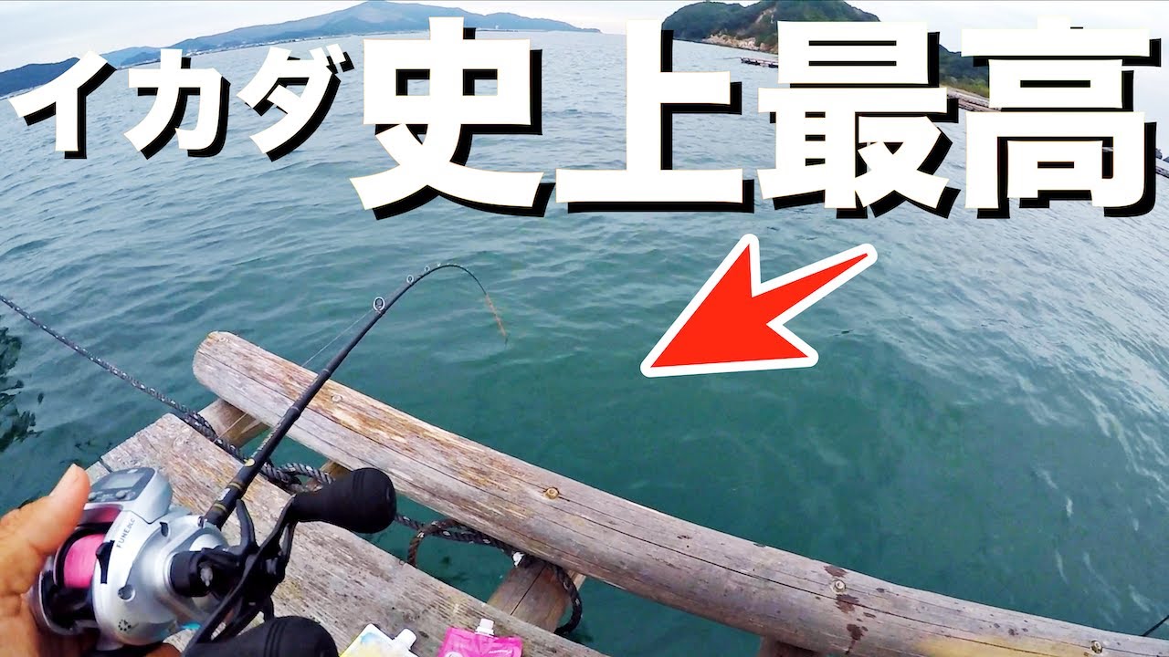 【衝撃】イカダ釣りで必殺の仕掛けを使ってみたら釣れすぎ注意。