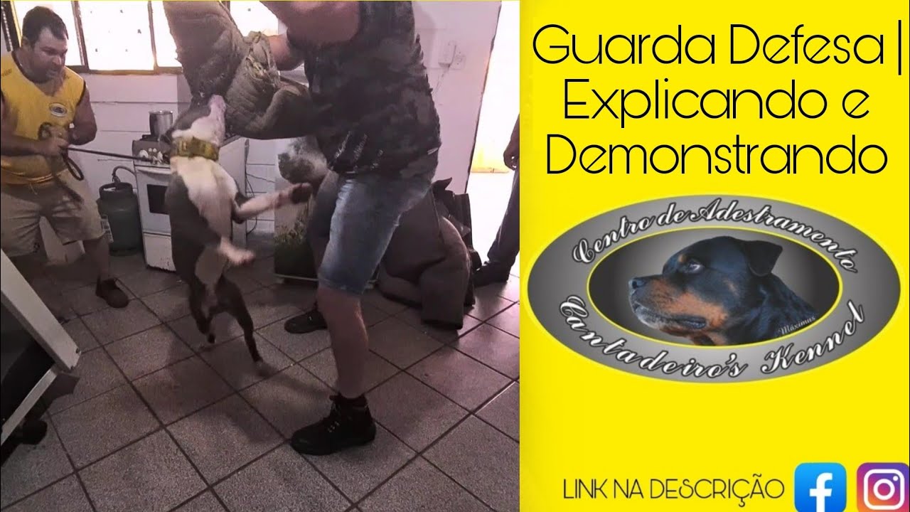 Guarda Defesa | Explicando e Demonstrando